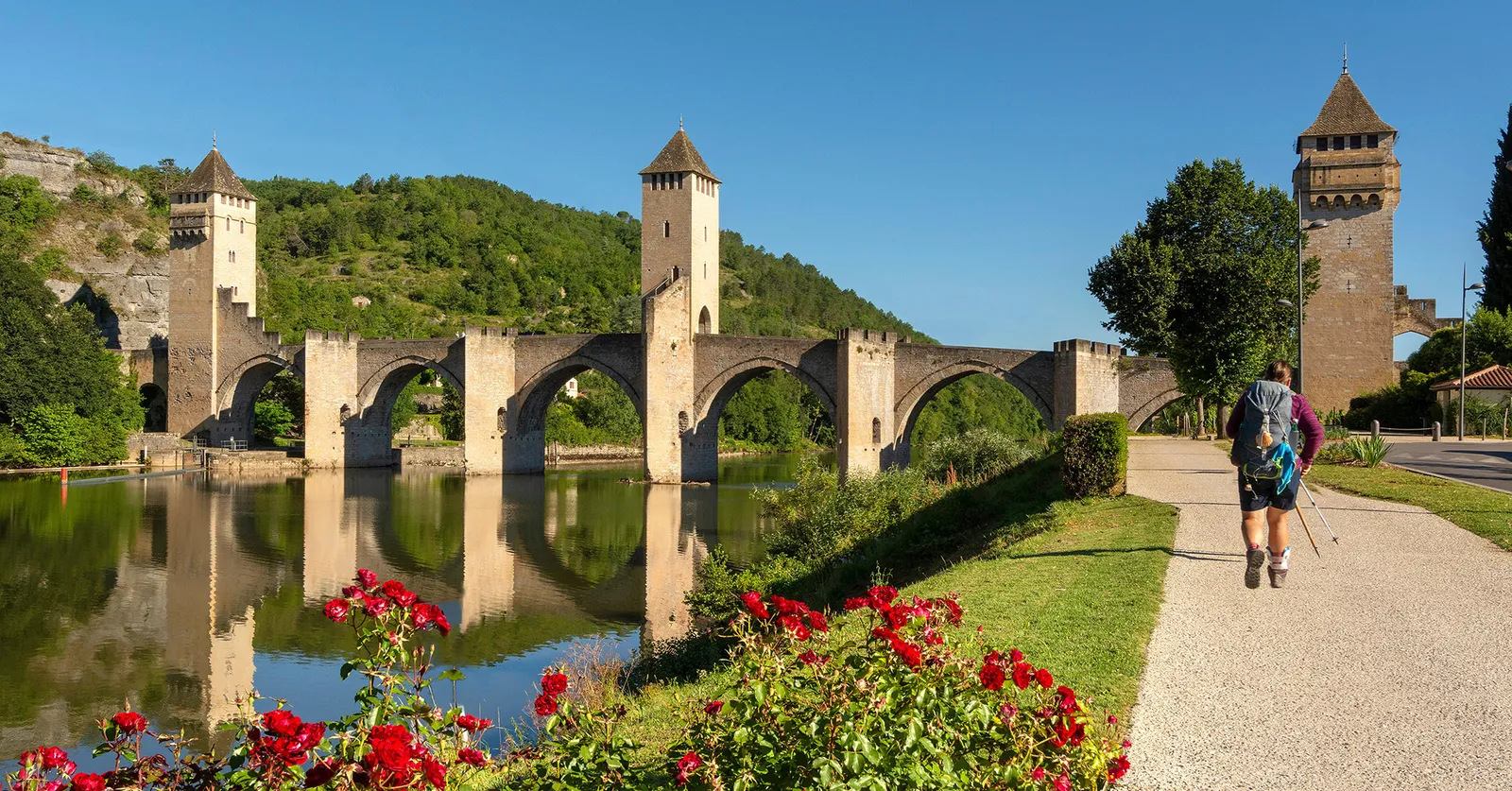 El Camino de Santiago