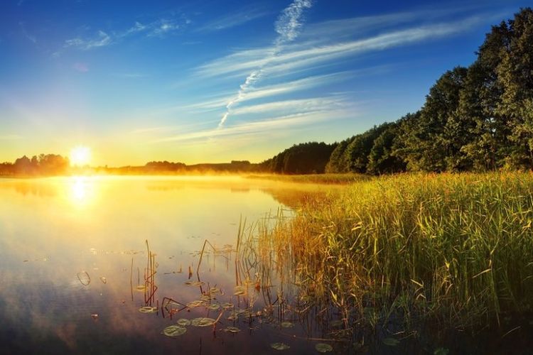 Invierno o Verano en el corazón de la Empresa