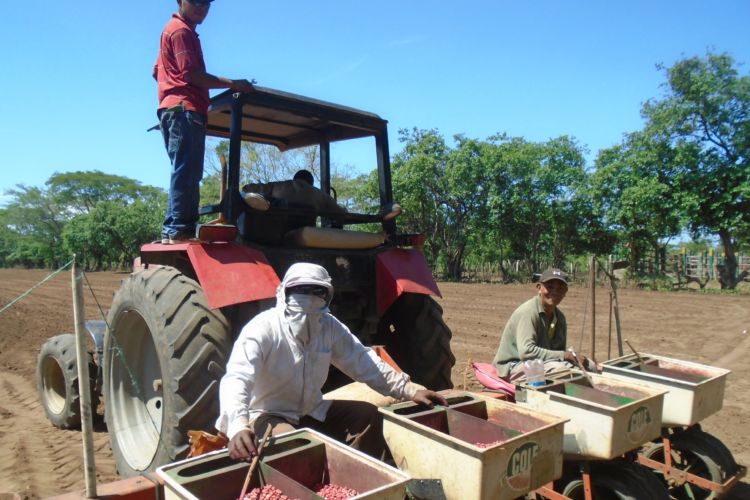 Reingeniería en las Empresas Agropecuarias