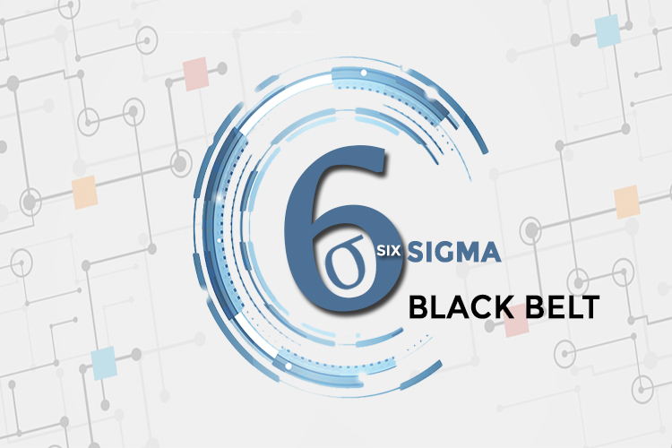 La Estrategia de Negocios Six Sigma