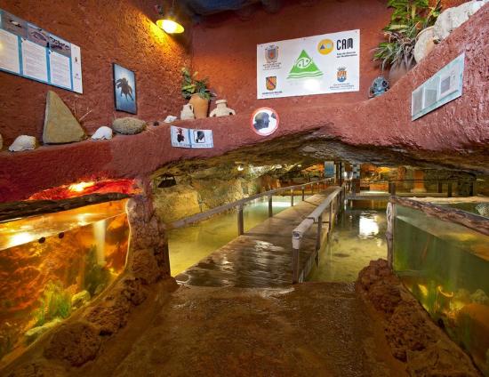 Acuario Cap - Blanc