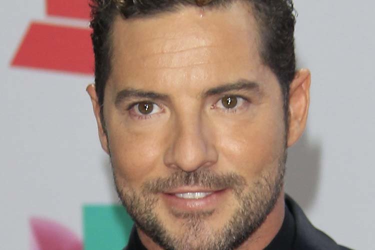 Frases de David Bisbal