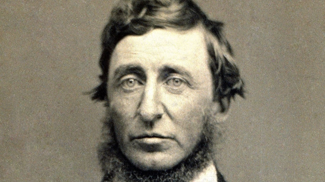 Frases de Henry David Thoreau