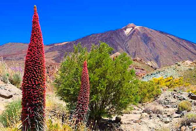 Parque Nacional del Teide