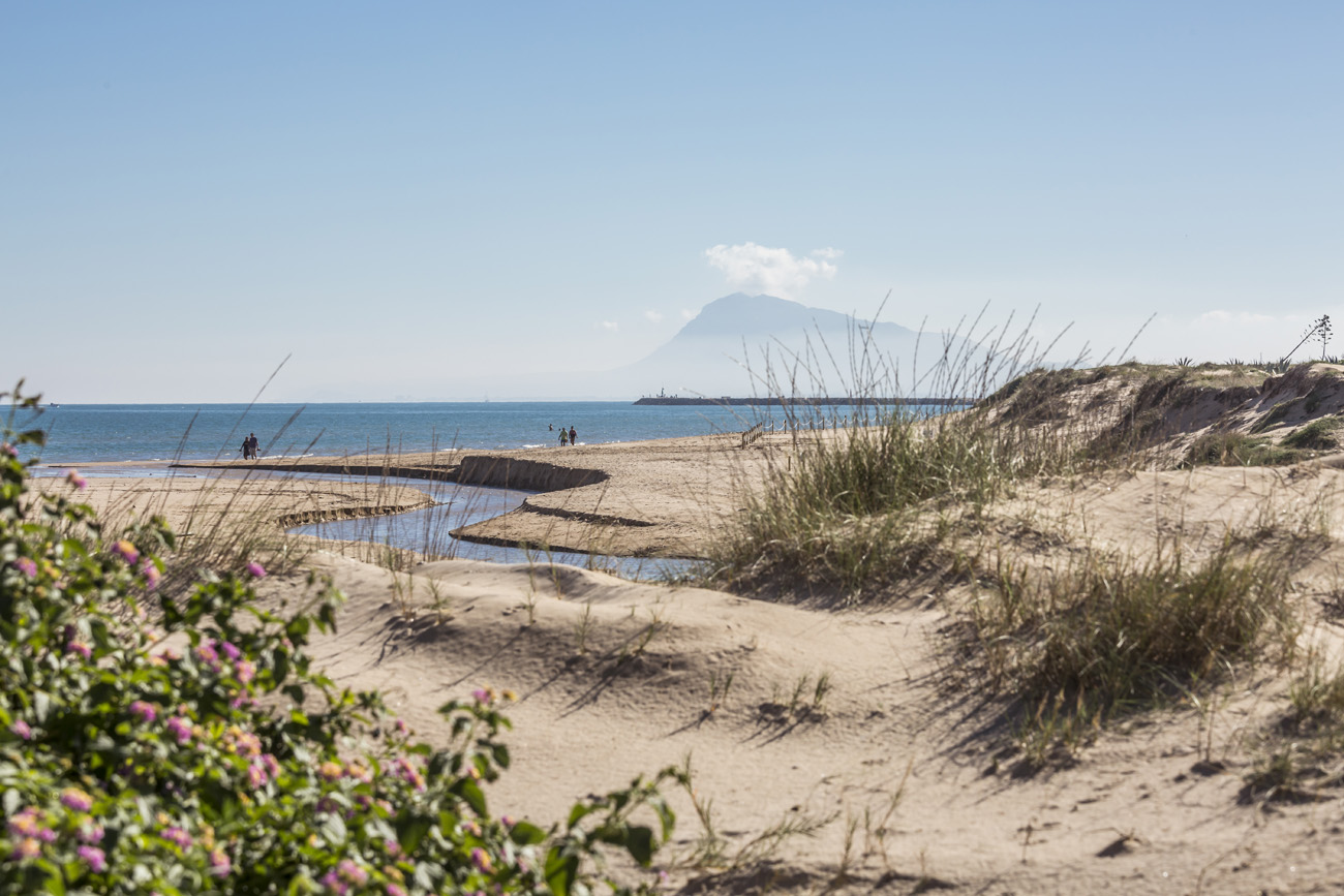 Playa de Terranova Oliva