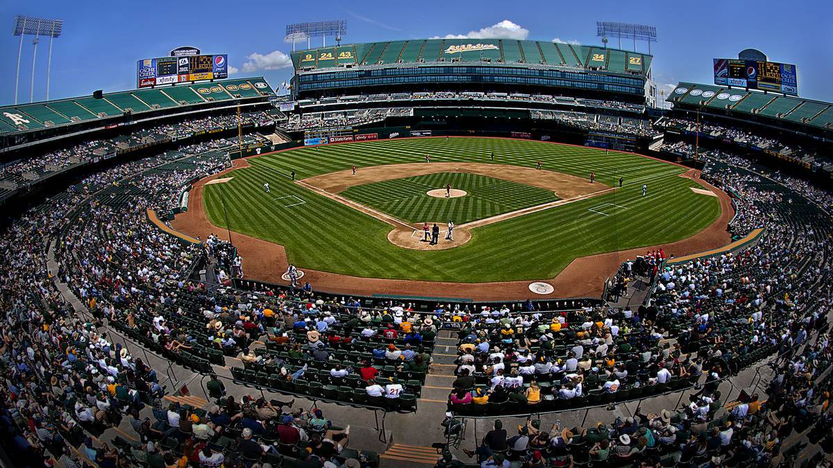 Frases de Beisbol de Jugadores Famosos