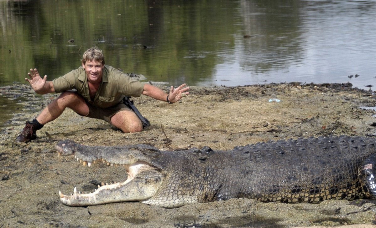 Frases de Steve Irwin