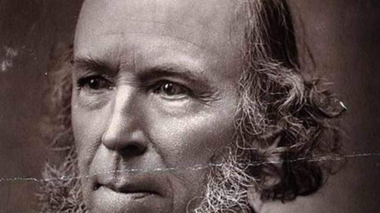 Frases de Herbert Spencer