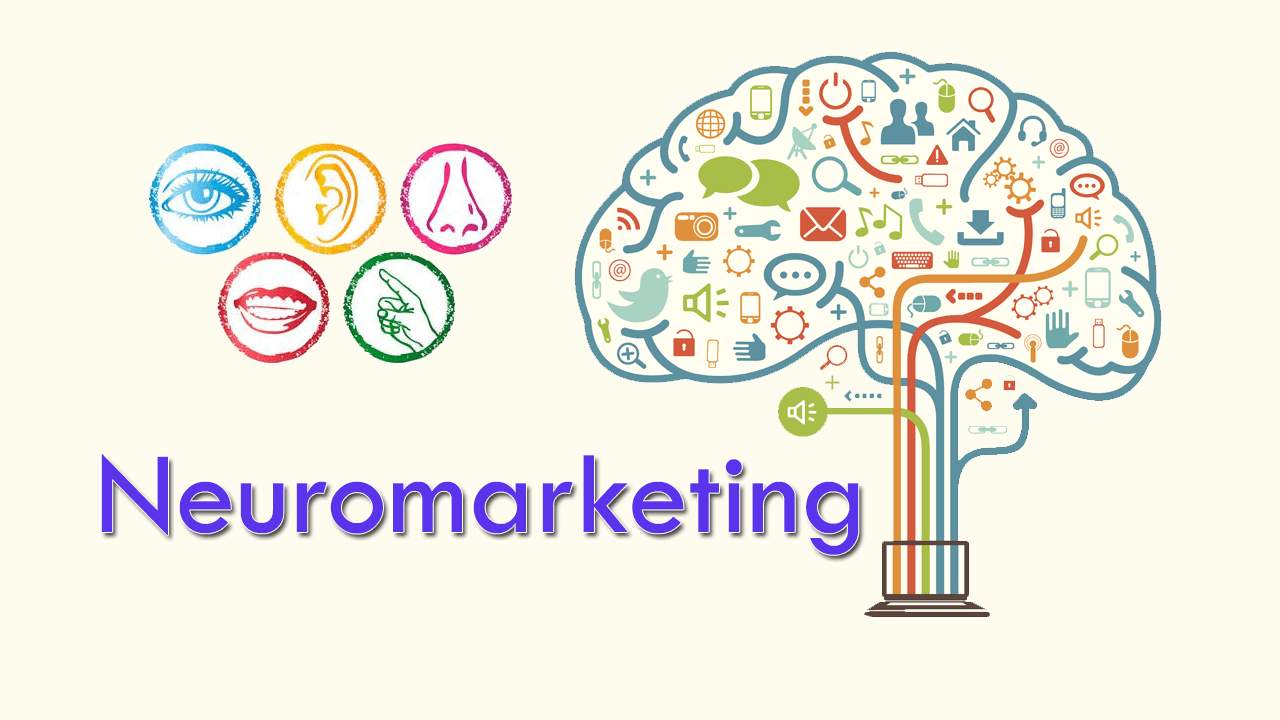 Este es un programa especializado llamado: curso Especialista en Neuromarketing en la famosa plataforma Udemy, tiene para el momento de escribir este artículo