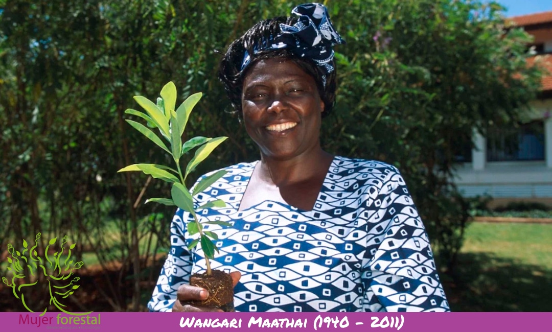 Wangari Maathai