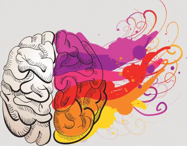 El cerebro creativo